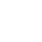 icons8-secure-100